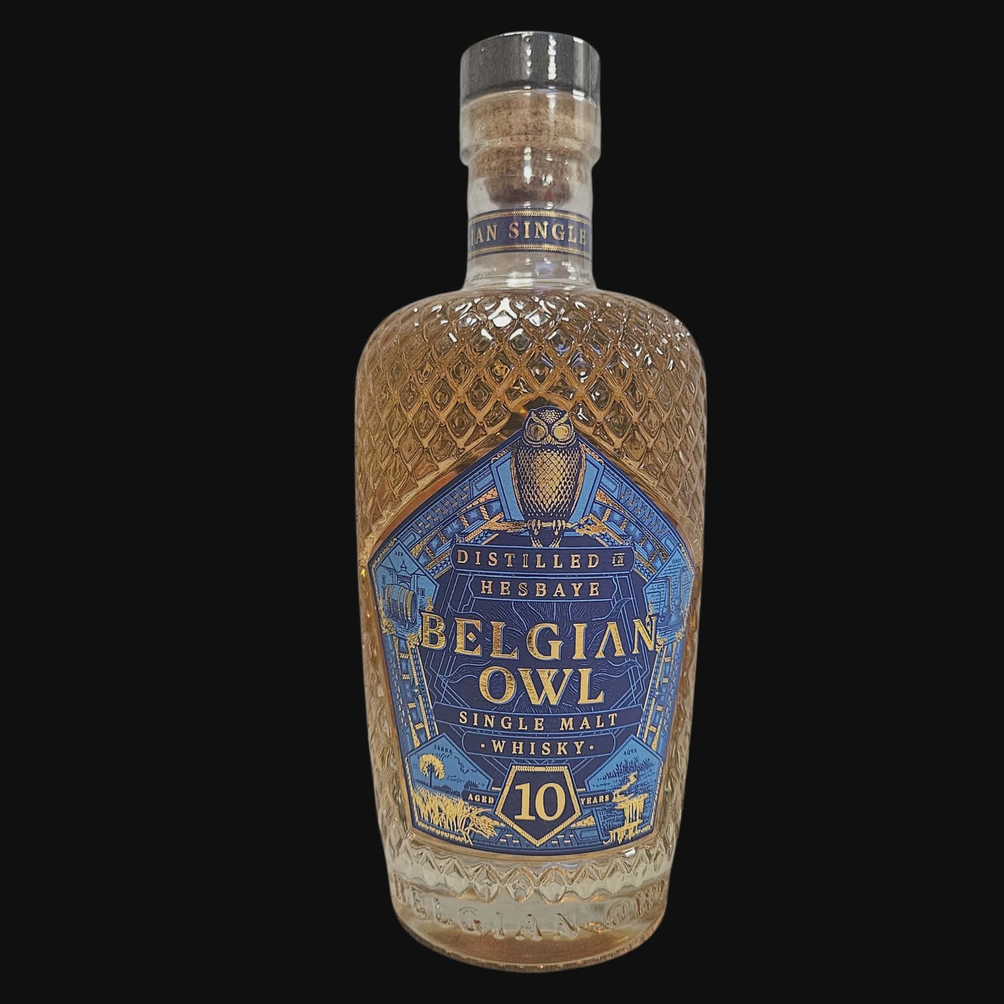 Belgische Eule 2014 – 10 Jahre alt ( 2024 )